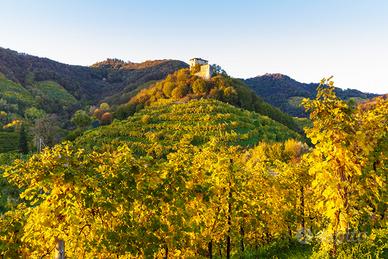 Appartamento arredato