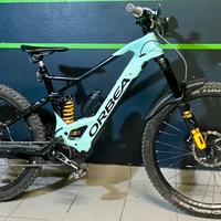 Orbea Wild M10 Custom