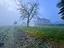 Immagine 29