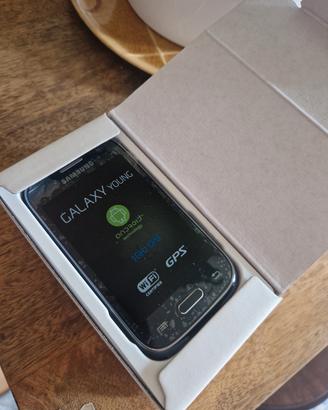 samsung galaxy young  nuovo 