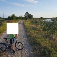 Mtb bambino