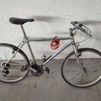 Bicicletta