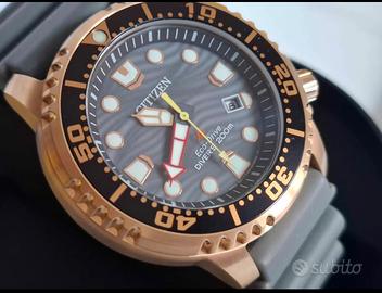 citizen ecodrive promaster 