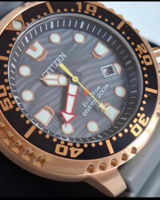 citizen ecodrive promaster 