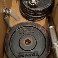 pesi Domyos 22 kg in ghisa + manubrio