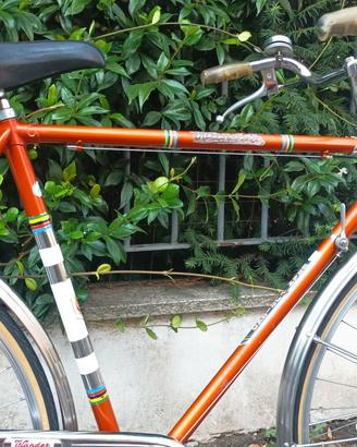 WANDER bici uomo