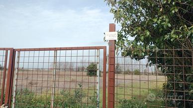 Terreno agricolo