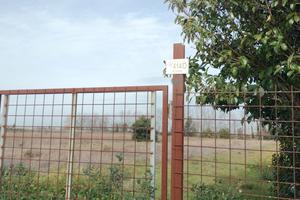 Terreno agricolo