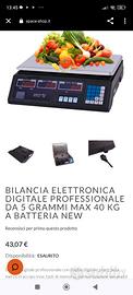 Bilancia elettronica 