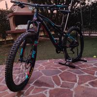mtb orbea occam