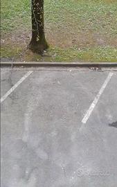 Posto auto custodito