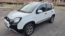 fiat-panda-cross-1-3-mjt-95-cv-s-s-4x4