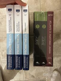Prometheus e Gray libri medicina