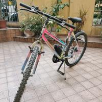 Mountain bike McKinley vintage anni '90