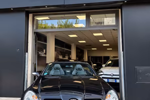 Mercedes-benz SLK 200 Kompressor cat