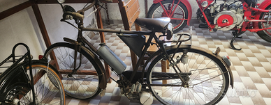 Bicicletta con motore