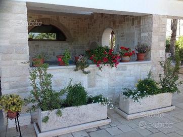 Pietra di pregio per rivestimento / pavimento