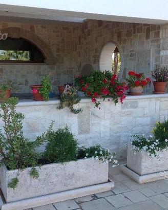 Pietra di pregio per rivestimento / pavimento