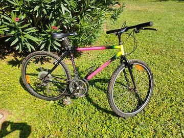 bicicletta MTB per adulti e ragazzi 