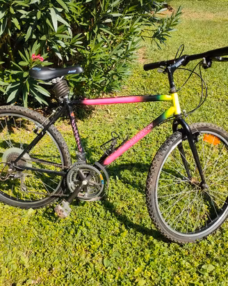 bicicletta MTB per adulti e ragazzi 