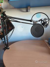 microfono neewer e alimentazione fantasma 