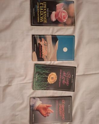 Piccoli libri di Bruno Ferrerò 