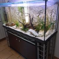 acquario 400 litri
