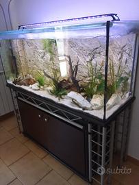 acquario 400 litri