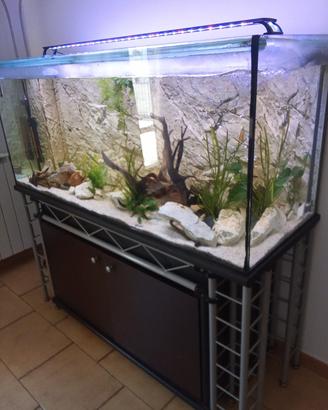 acquario 400 litri