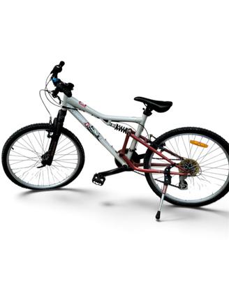 Bicicletta per ragazzi
