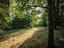 Immagine 22