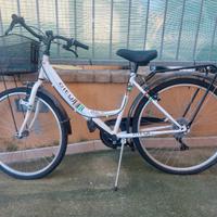 Bicicletta da passeggio 