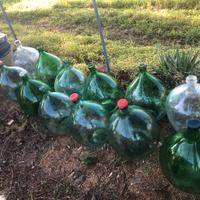 Botti  damigiane in vetro