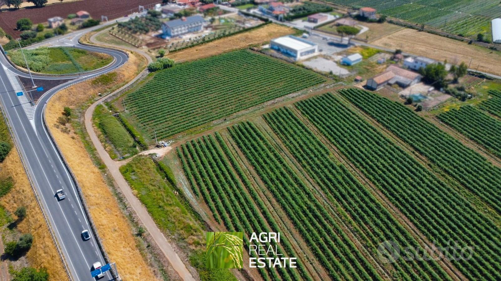 Terreno agricolo pianeggiante di 10 ettari - Vista 5
