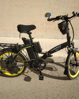 Bicicletta elettrica Argento Piuma