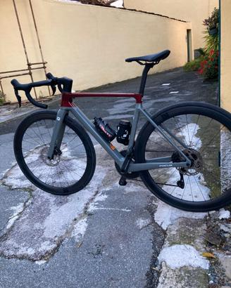 Focus Izalco