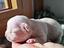 Immagine 1