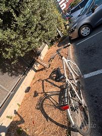 Bicicletta scout alluminio extra lite