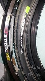 Cerchi Mavic 317 e Copertoni Hutchinson piranha