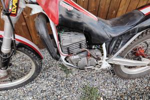 Beta TR 34 260 - 1988