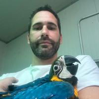 Ararauna ed altri pappagalli