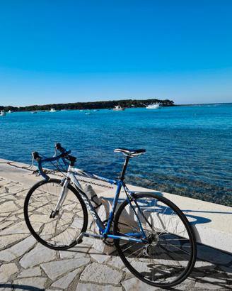 bici  da corsa