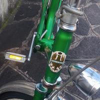 bici  Bianchi pieghevole 