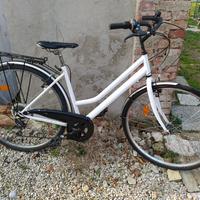 bicicletta donna 