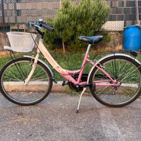 Bicicletta da città