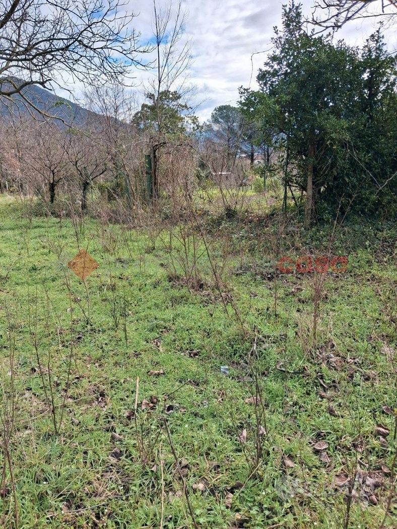 Terreno Agricolo Castel San Giorgio - Vista 3