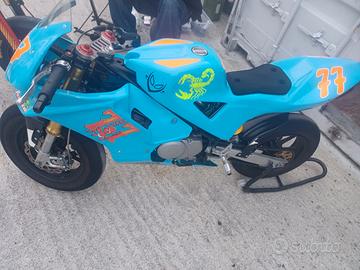 Bucci Moto Altro modello