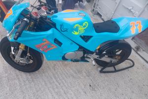 Bucci Moto Altro modello