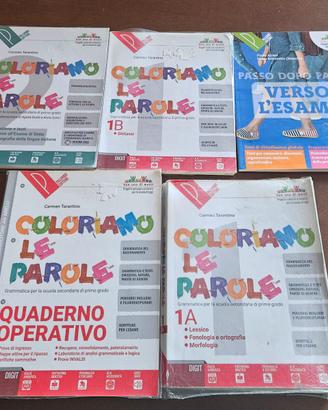 Coloriamo le parole 1A+1B+2+quad op+ verso l'esame