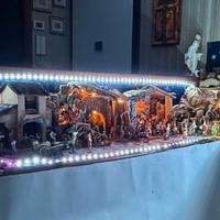 Presepe Natalizio completo di TUTTO.